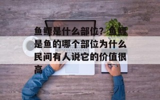 鱼鳔是什么部位？鱼鳔是鱼的哪个部位为什么民间有人说它的价值很高