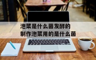 泡菜是什么菌发酵的 制作泡菜用的是什么菌