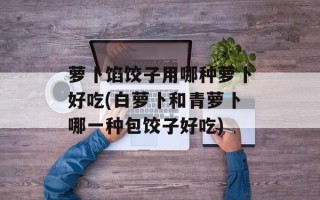 萝卜馅饺子用哪种萝卜好吃(白萝卜和青萝卜哪一种包饺子好吃)