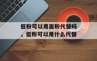 低粉可以用面粉代替吗，低粉可以用什么代替