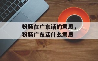 粉肠在广东话的意思，粉肠广东话什么意思