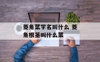 菱角菜学名叫什么 菱角根茎叫什么菜