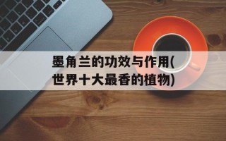 墨角兰的功效与作用(世界十大最香的植物)