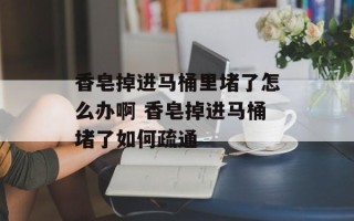 香皂掉进马桶里堵了怎么办啊 香皂掉进马桶堵了如何疏通