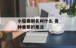 小茄香别名叫什么 各种香草的用法