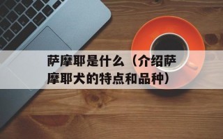 节气芒种是什么意思，节气芒种是什么意思