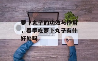 萝卜丸子的功效与作用，春季吃萝卜丸子有什好处吗