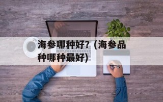 海参哪种好？(海参品种哪种最好)