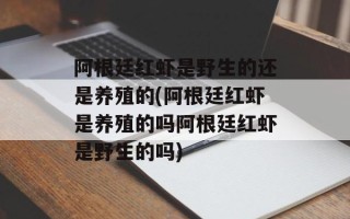 阿根廷红虾是野生的还是养殖的(阿根廷红虾是养殖的吗阿根廷红虾是野生的吗)