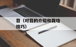 美味海鲜游戏，美味海鲜直播间
