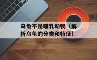混迹在都市的特种兵（特种兵在城市中的生存之道）
