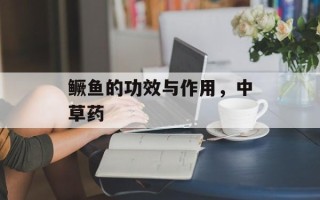 鳜鱼的功效与作用，中草药