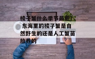 棱子蟹什么季节最肥？ 东海里的棱子蟹是自然野生的还是人工蟹苗放养的