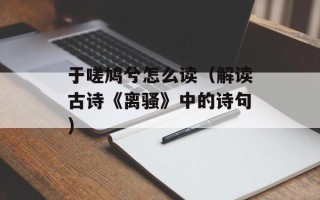 生活家是什么（探索现代人生活方式的新平台）