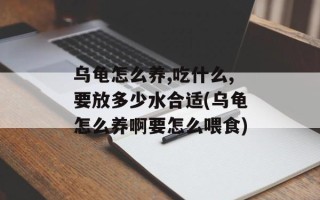 乌龟怎么养,吃什么,要放多少水合适(乌龟怎么养啊要怎么喂食)