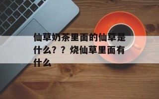 仙草奶茶里面的仙草是什么？？烧仙草里面有什么