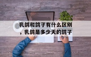 乳鸽和鸽子有什么区别，乳鸽是多少天的鸽子