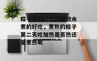 粽子蒸的好吃还是放水煮的好吃，煮熟的粽子第二天吃加热是蒸热还是煮热呢