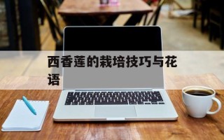 蚂蚱菜花图片，蚂蚱菜的图片