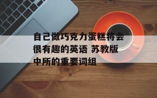 自己做巧克力蛋糕将会很有趣的英语 苏教版中所的重要词组