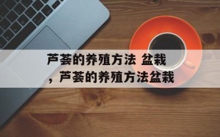 芦荟的养殖方法 盆栽，芦荟的养殖方法盆栽