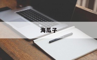 海瓜子