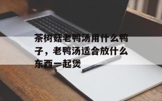 茶树菇老鸭汤用什么鸭子，老鸭汤适合放什么东西一起煲