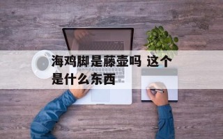 海鸡脚是藤壶吗 这个是什么东西