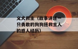 海马丘比特发动机（介绍海马丘比特发动机的特点和性能）