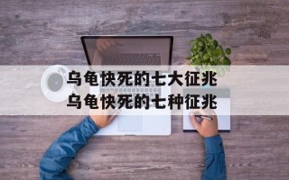 乌龟快死的七大征兆 乌龟快死的七种征兆