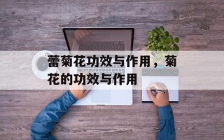 蕾菊花功效与作用，菊花的功效与作用