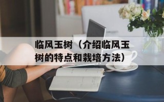 沙暴刷枪软件（快速提高游戏战斗力的利器）