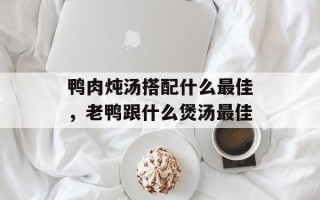 鸭肉炖汤搭配什么最佳，老鸭跟什么煲汤最佳