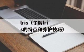 凌导移动电源（带你了解最新款凌导移动电源）