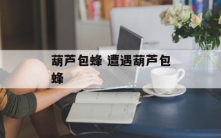 葫芦包蜂 遭遇葫芦包蜂