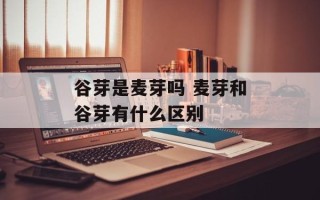 谷芽是麦芽吗 麦芽和谷芽有什么区别
