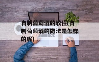 自制葡萄酒的教程(自制葡萄酒的做法是怎样的呢)