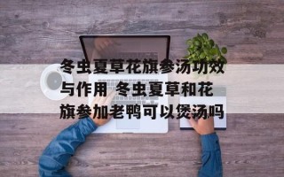 冬虫夏草花旗参汤功效与作用 冬虫夏草和花旗参加老鸭可以煲汤吗