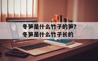 冬笋是什么竹子的笋？冬笋是什么竹子长的