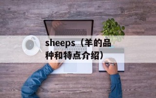 叶珊宜（一个优秀的职场女性的故事）