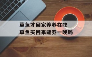 草鱼才回家养养在吃 草鱼买回来能养一晚吗