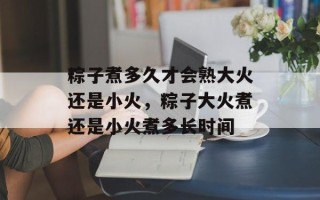 粽子煮多久才会熟大火还是小火，粽子大火煮还是小火煮多长时间
