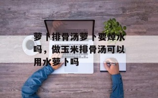 萝卜排骨汤萝卜要焯水吗，做玉米排骨汤可以用水萝卜吗