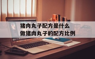 猪肉丸子配方是什么 做猪肉丸子的配方比例