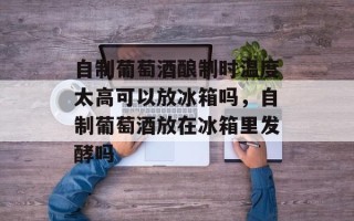 自制葡萄酒酿制时温度太高可以放冰箱吗，自制葡萄酒放在冰箱里发酵吗