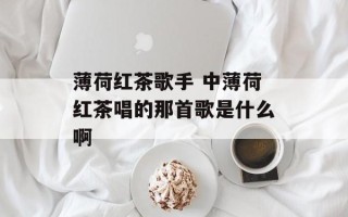 薄荷红茶歌手 中薄荷红茶唱的那首歌是什么啊