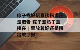 粽子煮好后直接捞出还是泡着 粽子煮熟了直接在鍋里放着好还是捞出放凉好