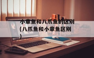小章鱼和八爪鱼的区别(八爪鱼和小章鱼区别)