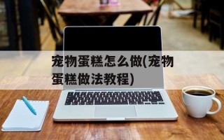 宠物蛋糕怎么做(宠物蛋糕做法教程)