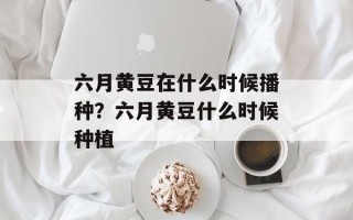 六月黄豆在什么时候播种？六月黄豆什么时候种植